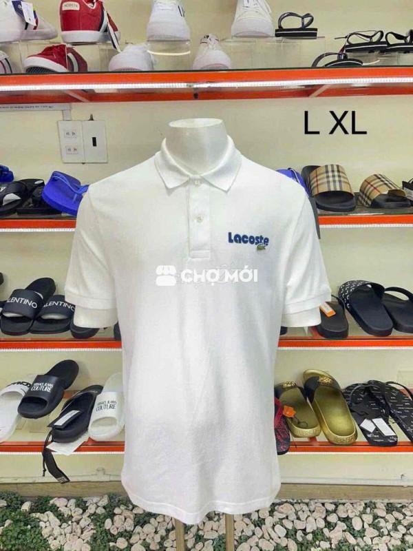 Áo polo Lacoste Nam Trắng chữ xanh