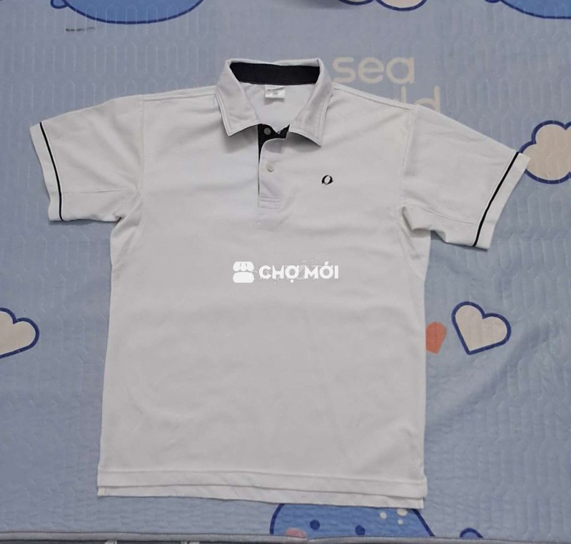 Áo polo IGNIO nam size M