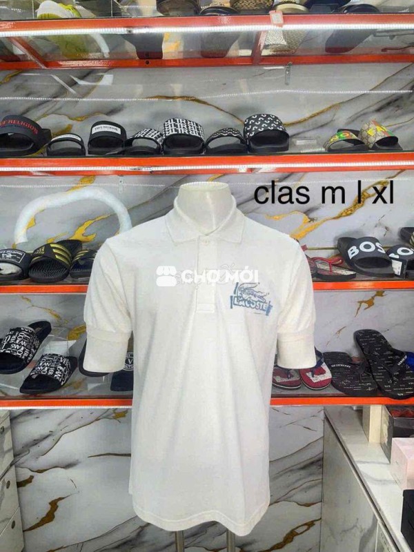 Áo Polo Lacoste Nam Trắng cá sấu hình vẽ