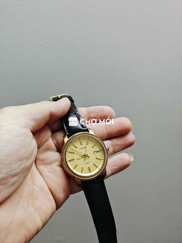 Đồng hồ Citizen 40mm Nam Vàng Dây da