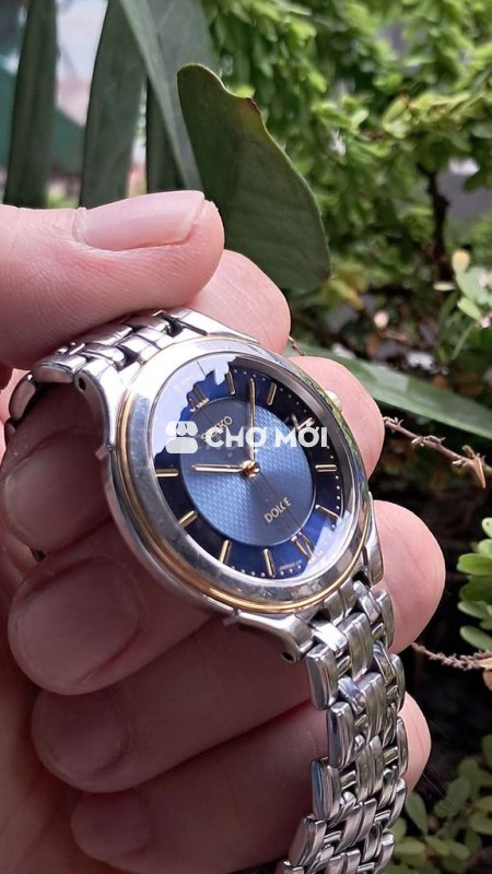 Đồng hồ Seiko Dolce