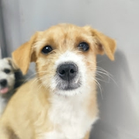 Thị Hùynh nguyễn