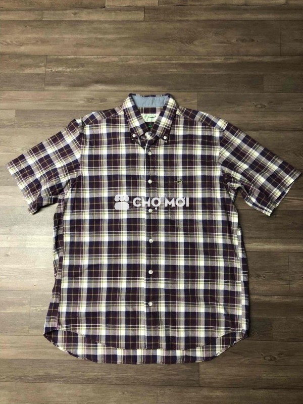 Crocodile M Sơmi Caro 99% 60-70kg