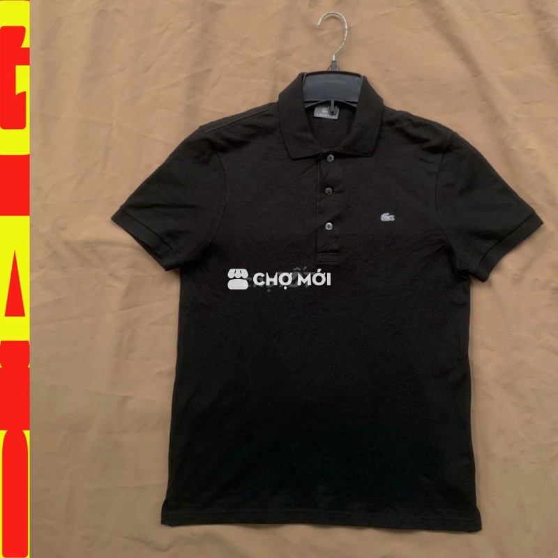 💥Áo thun polo Lacoste sz S 48-55kg - FREE SHIP
