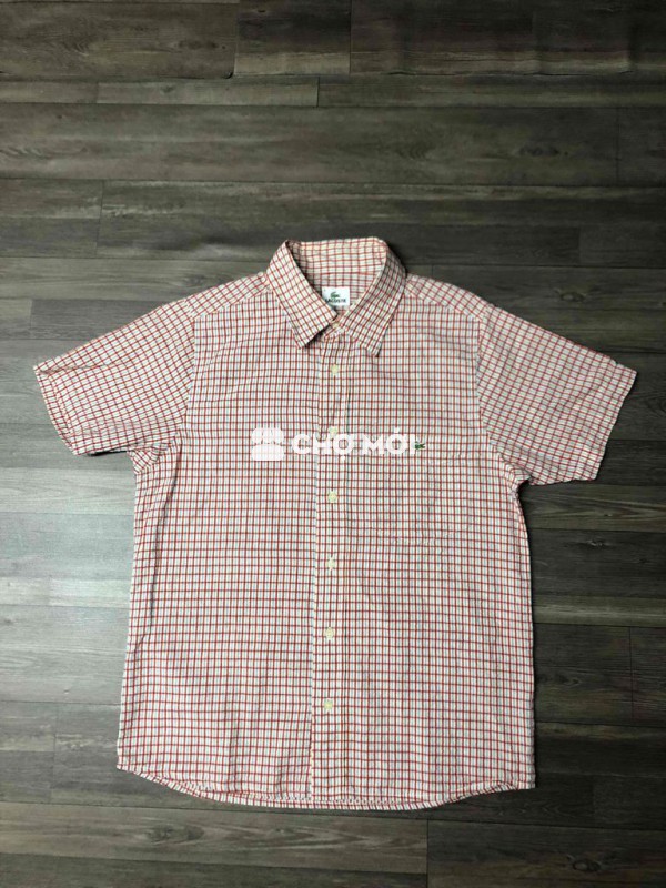 Lacoste Cá Sấu 99% 50-65kg