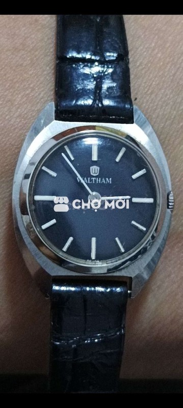 Đồng hồ đeo tay Waltham Nữ Thép