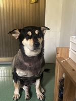 Nguyễn Lê Hương Giang