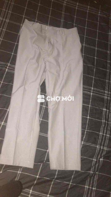 Quần tây nam Cotton