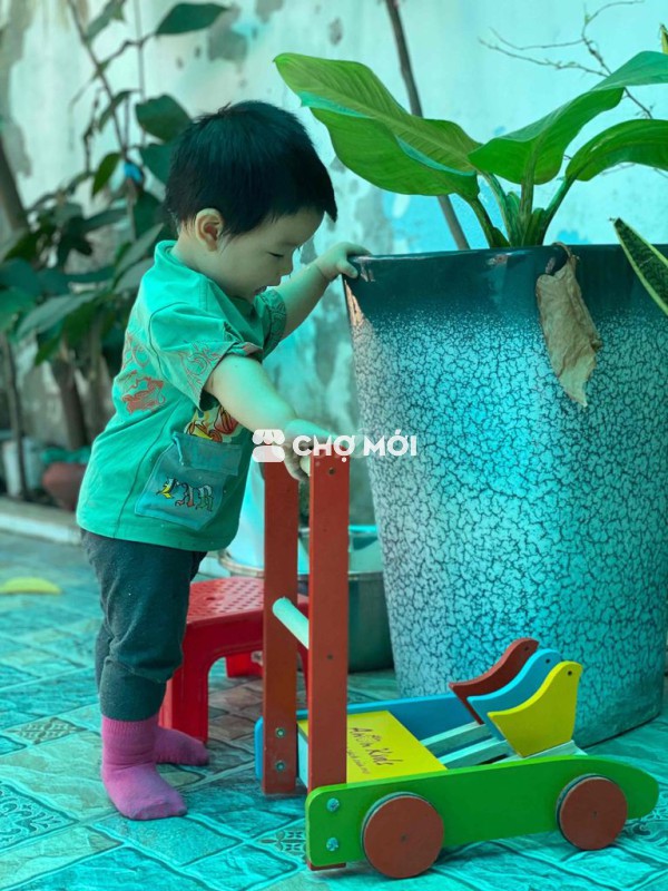 Xe tập đi gỗ đã sử dụng