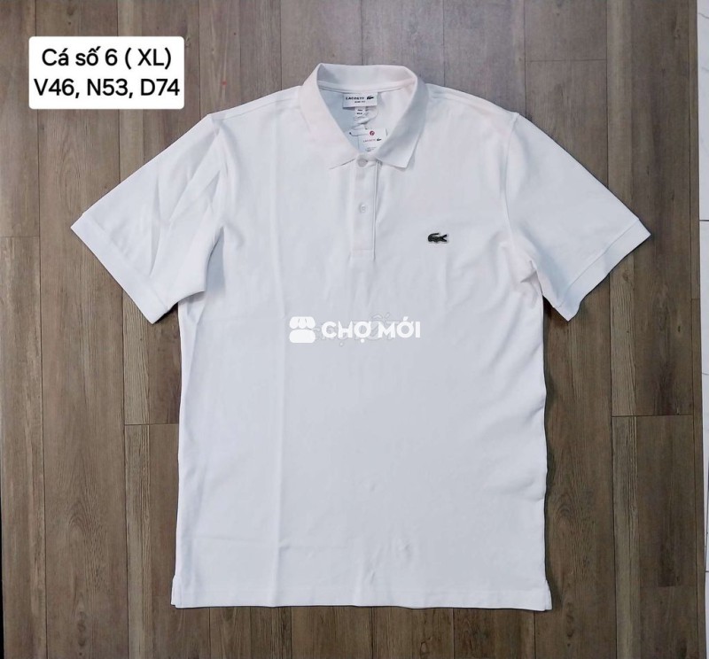 Áo polo Lacoste số 6 ( XL)