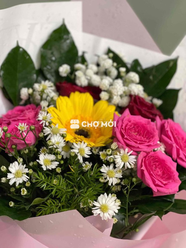 Quần áo nữ 55kg