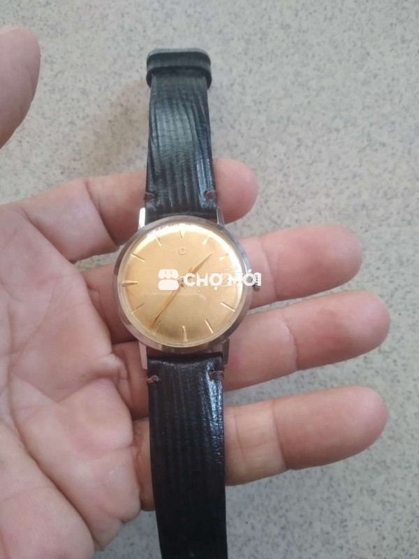 Đồng hồ Citizen Nam Vàng Thép 34mm