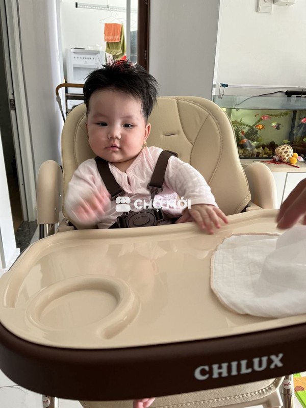 Xe đẩy nôi, ghế ăn dặm, xe tập đi