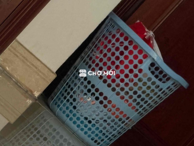 Quần áo trẻ em nam dưới 10kg đã dùng