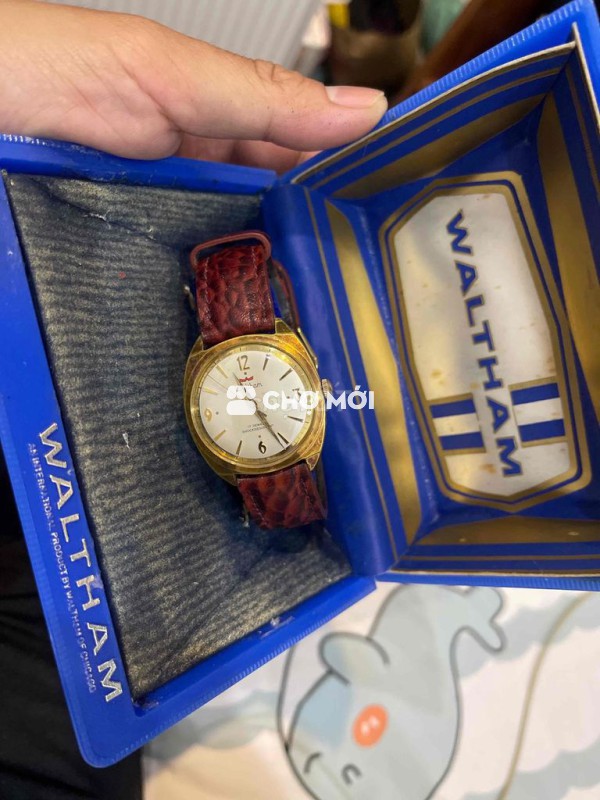 Đồng hồ đeo tay Waltham Nam Vàng năm 1960