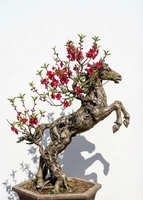 Minh Mạng Thang HCM