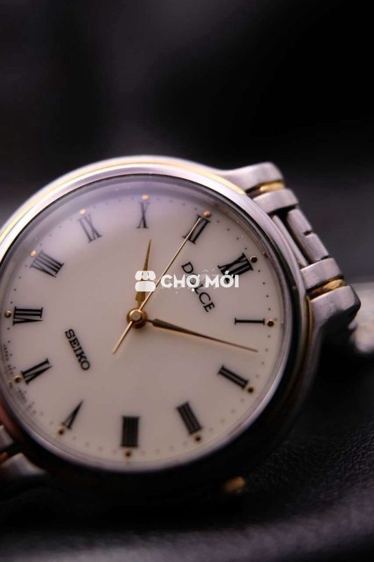 Đồng hồ Seiko Dolce la mã cổ điển thanh lịch