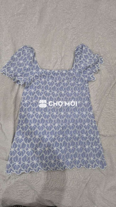 Đầm Zara Nữ Xanh nhạt Hoa thêu