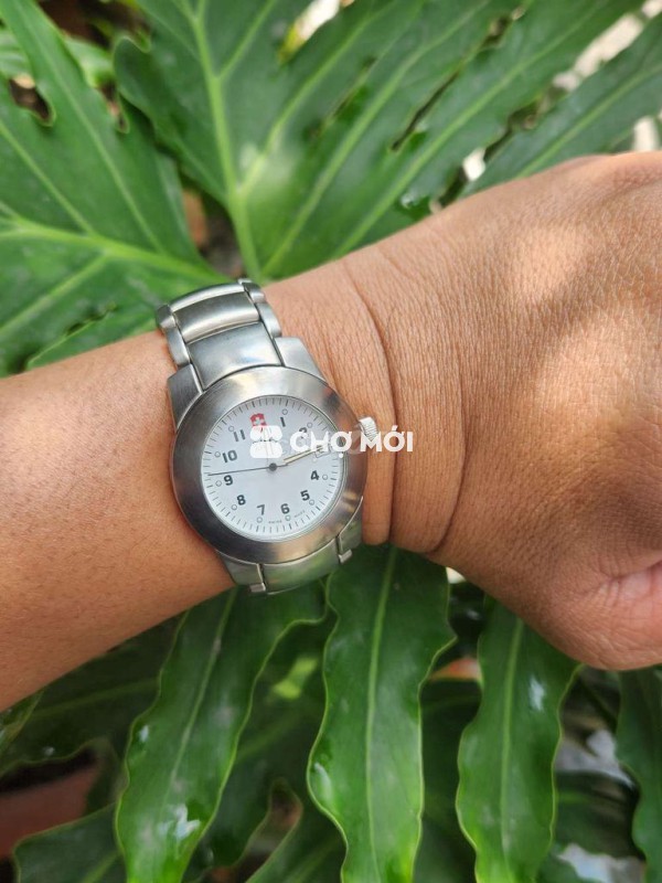 Đồng hồ Swiss Army Thép không gỉ