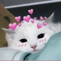 Nguyễn Hoài Phong