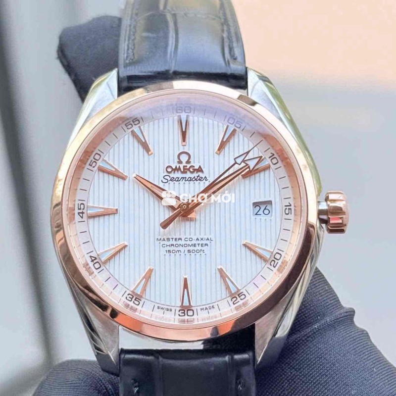 Omega Seamaster Aqua Terra 231.23.42.21.02.001