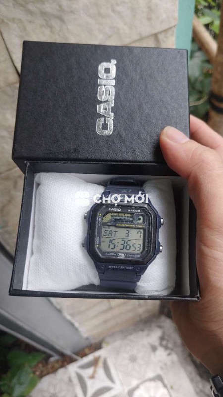 Đồng hồ Casio WS-1600H Xám 42mm