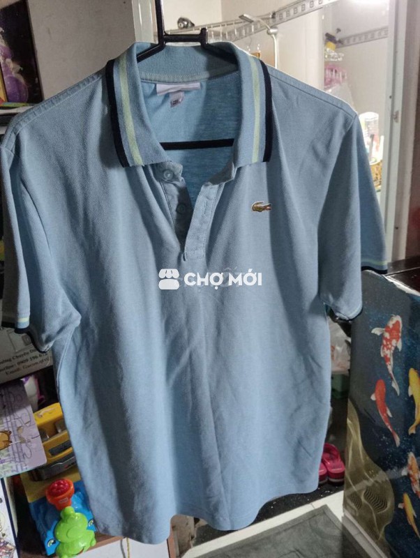 Áo polo Lacoste nam hiệu