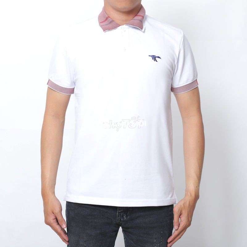 XẢ KHO ÁO THUN CÁ SẤU CỔ BẺ LOGO THÊU CS105