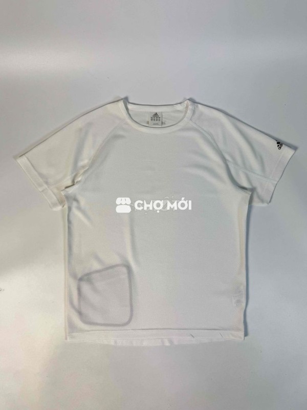Áo thun Adidas chính hãng