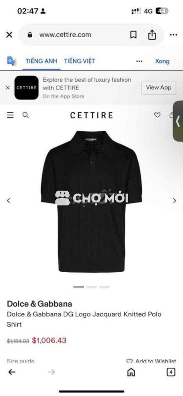 Áo polo Dolce & Gabbana len nam