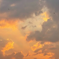 Ngọc Huyền Đỗ