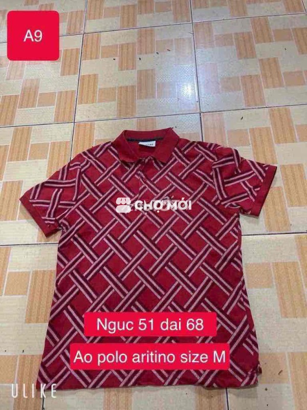 Áo polo Ẩitino size L