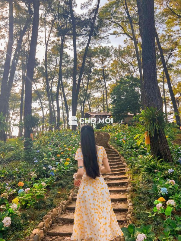 Váy Leps nữ size S